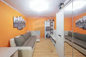 De vânzare casă cu 3 camere și teren 3205 mp în Sânnicolau Român - imagine 4