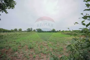 De vânzare casă cu 3 camere și teren 3205 mp în Sânnicolau Român - imagine 6