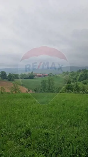 Teren 2,723mp Bratca / Drumul principala - imagine 2