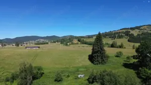 Teren in Bucovina! La Munte! De vanzare! 0727817187 - imagine 5