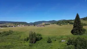 Teren in Bucovina! La Munte! De vanzare! 0727817187