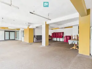 SAD – Calea Aradului, vad excelent - imagine 4