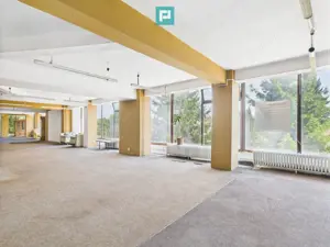 SAD – Calea Aradului, vad excelent - imagine 2