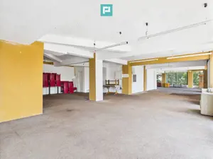 SAD – Calea Aradului, vad excelent - imagine 3