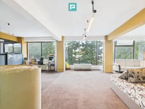 SAD – Calea Aradului, vad excelent - imagine 8