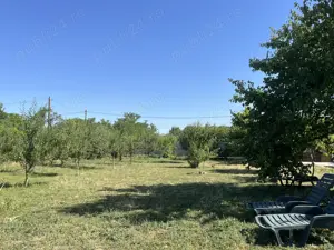 Vand casa si  teren Paltinisu  - imagine 9