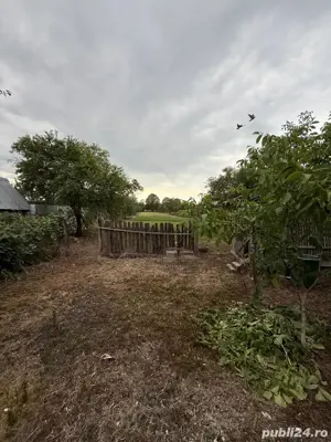 Casa de vanzare Com. Gavojdia  - imagine 3 Casa de vanzare Com. Gavojdia  - imagine 3