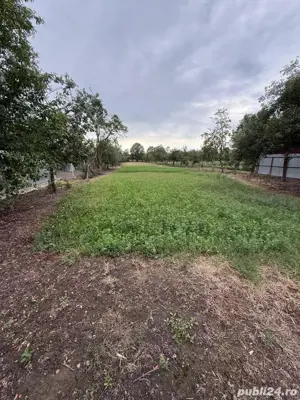 Casa de vanzare Com. Gavojdia  - imagine 5 Casa de vanzare Com. Gavojdia  - imagine 5