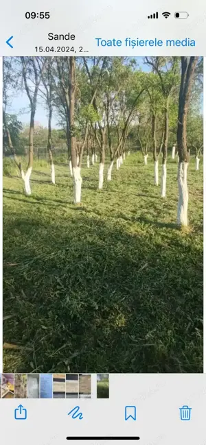 Casă de vănzare - imagine 10