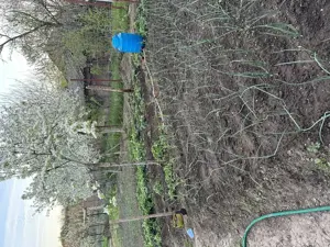 Casă de vănzare - imagine 9