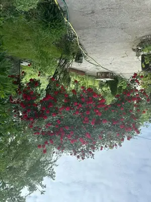 Casă de vănzare - imagine 5