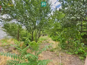 Teren 1.484 mp în zona Iosefin