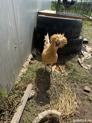 motate  crete - imagine 4