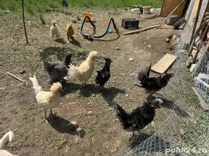 motate  crete - imagine 2