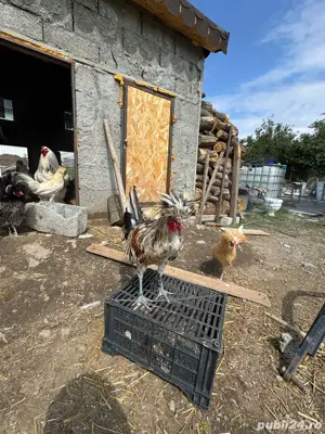 motate  crete - imagine 5