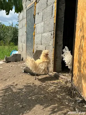 motate  crete - imagine 3