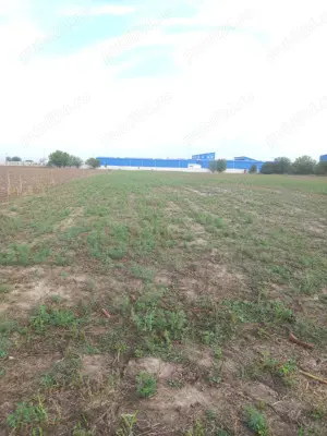Teren de vanzare intravilan agricol, zona verde ideal investitie