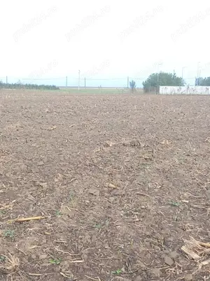 Teren de vanzare la 25 km de Bucuresti, zona verde ideal investitie - imagine 2