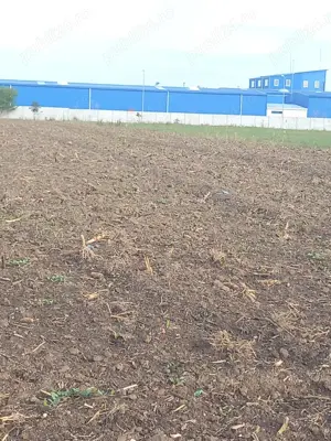 Teren de vanzare la 25 km de Bucuresti, zona verde ideal investitie - imagine 3