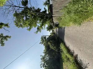 Teren Intravilan 5000m2 Titu  - imagine 6