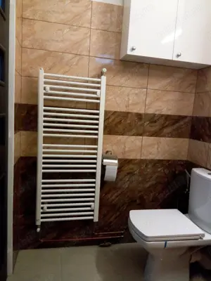 Apartament 2 camere, decomandat, mobilat si utilat, zona Dacia, str. Brasovului. - imagine 9