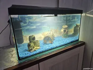 acvariu 60l vand sau schimb