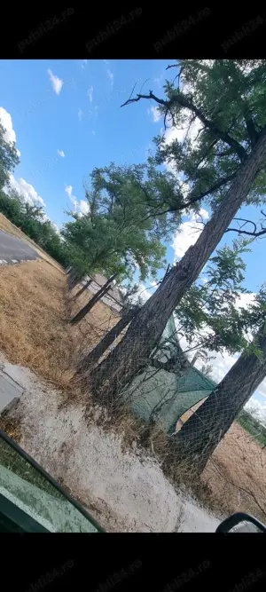 Vand casa  - imagine 3