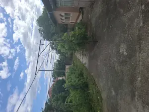 VIND casa curte Afumati - imagine 6