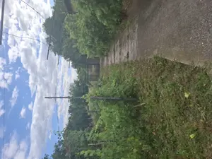 VIND casa curte Afumati - imagine 8