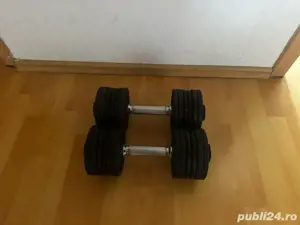 Set Gantere 28 kg din fontă și oțel 