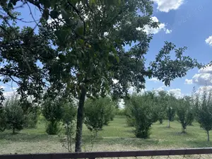 Casă de vânzare în Costeștii din Vale - imagine 8