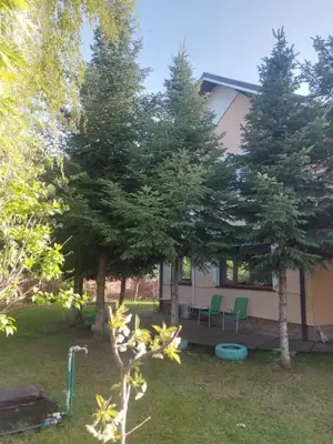 Vila Dalia – Refugiu Verde în Complexul Rezidențial „Sanremo–Snagov” - imagine 7 Vila Dalia – Refugiu Verde în Complexul Rezidențial „Sanremo–Snagov” - imagine 7