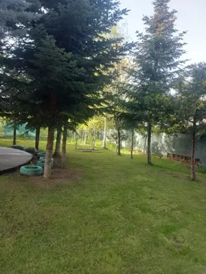 Vila Dalia – Refugiu Verde în Complexul Rezidențial „Sanremo–Snagov” - imagine 5 Vila Dalia – Refugiu Verde în Complexul Rezidențial „Sanremo–Snagov” - imagine 5