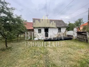 Casa Babsa, comuna Balint 2084mp teren - imagine 11