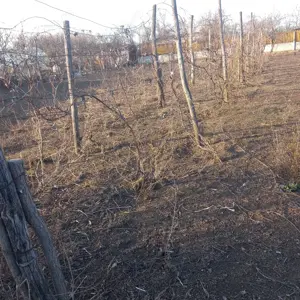 Vând teren intravilan în Islaz  Ilfov