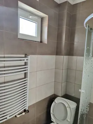 Casa cu garaj in Lăpuș Maramures - imagine 3