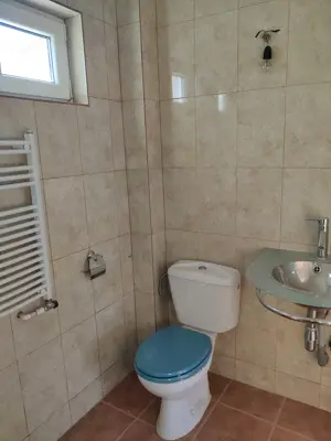 Casa cu garaj in Lăpuș Maramures - imagine 8