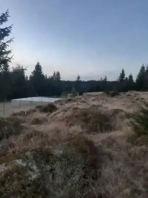 teren de vânzare măguri