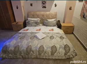 Predau afacere. Inchiriez pensiune Focsani  - imagine 2