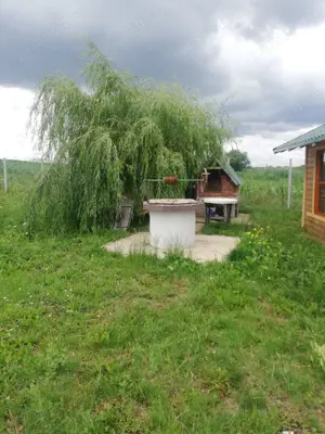 Vanzare teren cu livada 23,5ari Scheia, Trei Movile, Suceava - imagine 3