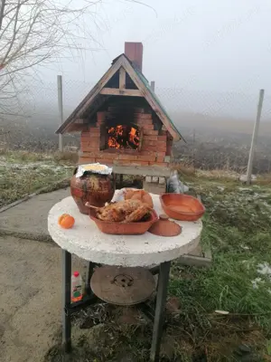 Vanzare teren cu livada 23,5ari Scheia, Trei Movile, Suceava - imagine 10