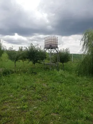 Vanzare teren cu livada 23,5ari Scheia, Trei Movile, Suceava - imagine 9