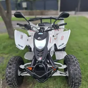 ATV - cpi 250 - imagine 2