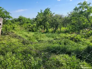 Casă batraneasca laga Vama Albita, Vaslui  - imagine 10