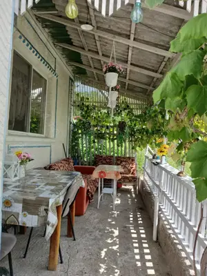 Vând gospodărie în sat Coaș, jud. Maramureș  - imagine 4