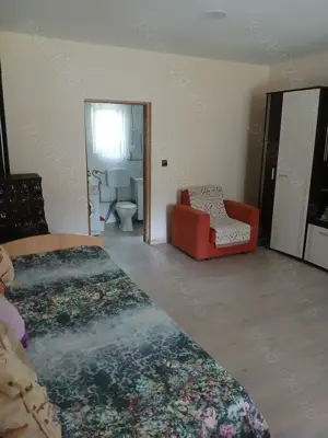 Vând gospodărie în sat Coaș, jud. Maramureș  - imagine 8