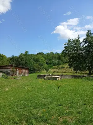 Vând gospodărie în sat Coaș, jud. Maramureș  - imagine 5