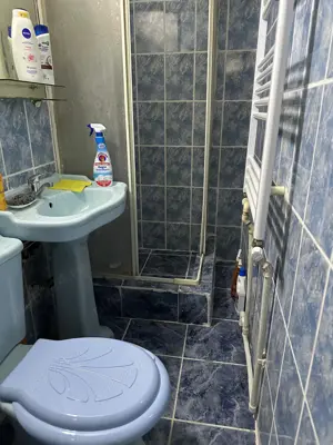 Cazare :Garsoniera regim hotelier Slatina - imagine 5