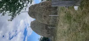 Vând două clăi de fân mari de anul acesta 2025