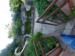 Vand Vila+Hala+Garaj+Cascada de Pesti!Piscina - imagine 5